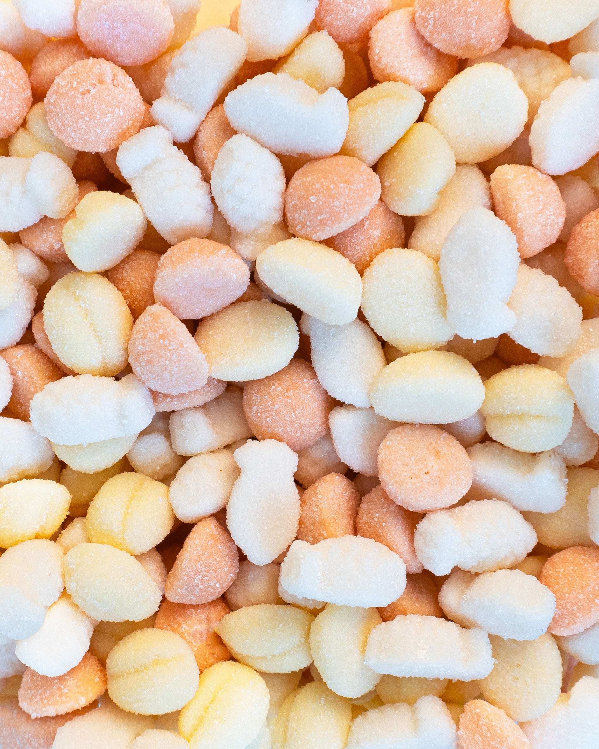 その他 Candy TropicTriogodis_2048x.jpg?v=